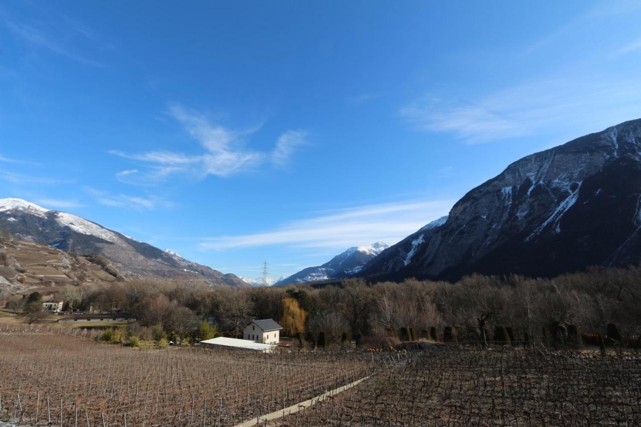 Bnb Vino Veritas Salgesch Exterior photo